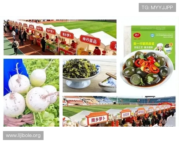 访问NG南宫官网地址的重要性及注意事项，确保信息获取准确